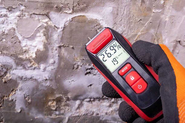 Best Kitchen Mold Remediation in Oakville, CT